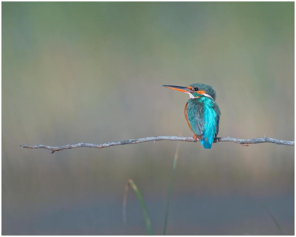 Glinstering van de&nbsp;eeuwigheid