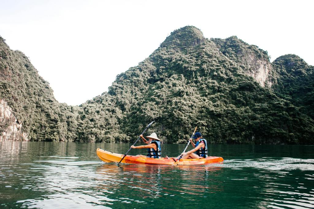Tussen kalmte en&nbsp;chaos