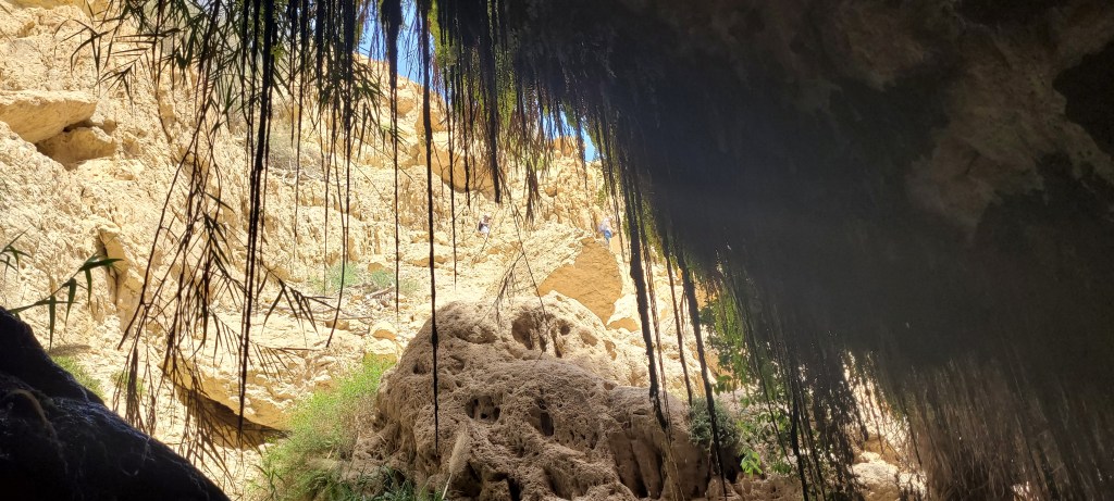 God verwachten in de&nbsp;grot